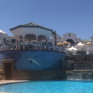 Meet your Posher, Marly